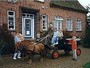 Bauernhof 55571