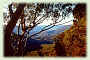 Bauernhof: Katoomba, Blue Mountains, Neu-Sd-Wales